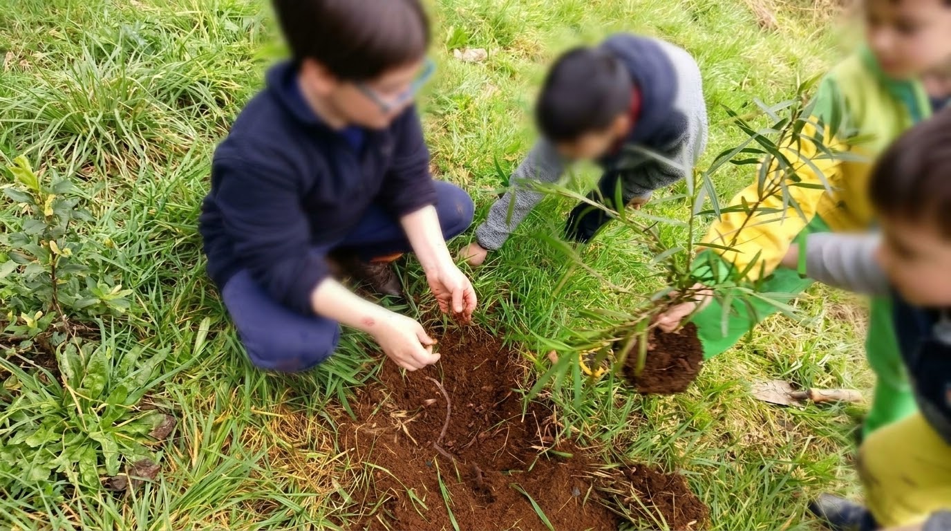 Estudiantes plantando un árbol nativo en el entorno del colegio