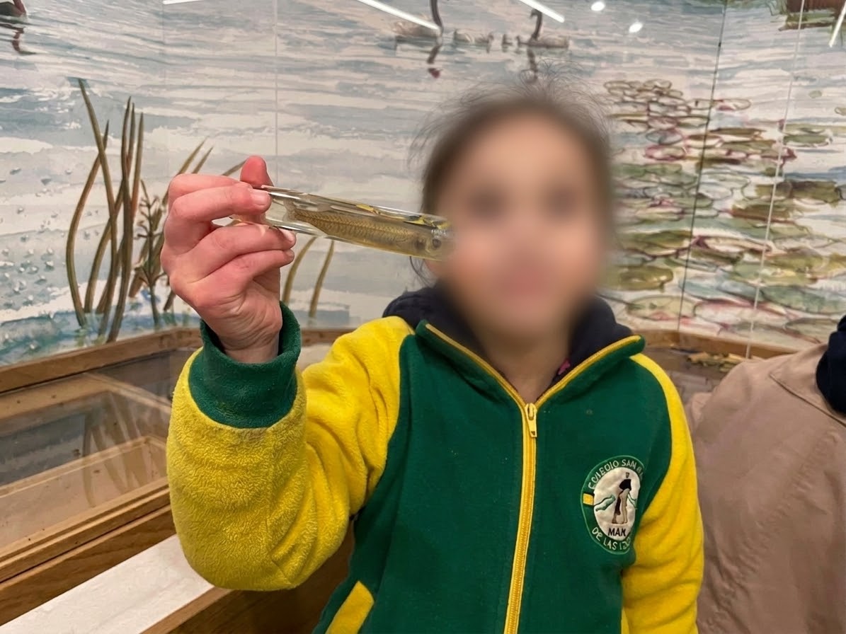 Estudiante en salida pedagógica a museo de Valdivia