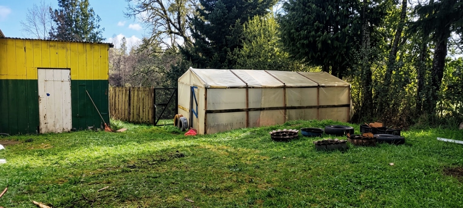 Invernadero escolar con instalaciones para el trabajo en la naturaleza
